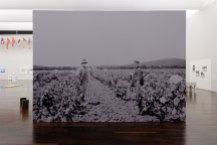Travail de la vigne, région de Bône (Annaba), 1933. Papier peint, 480 x 350 cm, 2017. Exposition «Tous des sang mêlés », Mac Val, Vitry-sur-Seine.